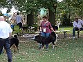 img 114
